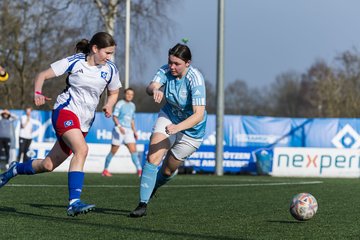 Bild 245 - F Hamburger SV 3 - Blau-Weiss 96 : Ergebnis: 5:1